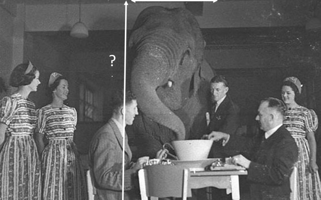 How Big is the Elephant in the Room?