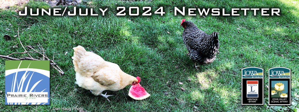June July 2024 newsletter