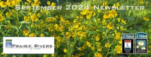 August 2024 newsletter banner