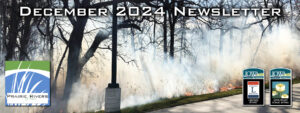 August 2024 newsletter banner